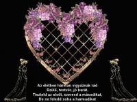 /album/valentin-nap/a418518-292543347473308-1831614752-n-jpg/