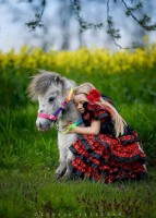 /album/allatok/img-2259360782496-jpeg1/