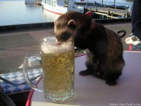 /album/vicces-kepek/a312814-227993377261639-44863111-n-jpg/