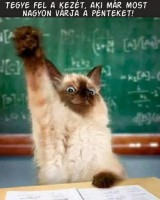 /album/vicces-kepek/facebook-1414679924449-jpg/