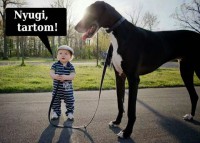 /album/vicces-kepek/facebook-1415016182197-jpg/