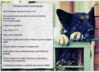 /album/vicces-kepek/img-4907592690882-jpeg/