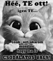 /album/vicces-kepek/img-58861922350500-jpeg1/