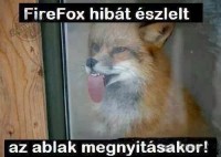 /album/vicces-kepek/img-79167391486500-jpeg/