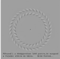 /album/vicces-kepek/img-79394743163399-jpeg/