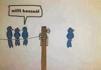 /album/vicces-kepek/img-79570898802484-jpeg/