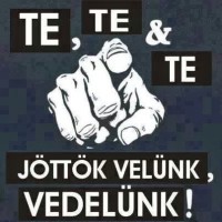 /album/vicces-kepek/img-80012430769278-jpeg/