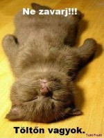 /album/vicces-kepek/img-83826191301761-jpeg/