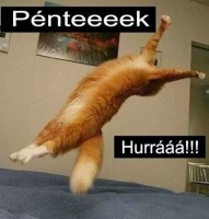 /album/vicces-kepek/img-601837924116059-jpeg/