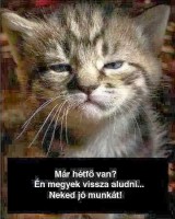 /album/vicces-kepek/img-602192718915811-jpeg/