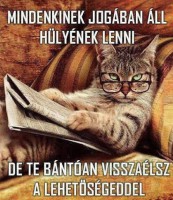 /album/vicces-kepek/img-602205760490277-jpeg/