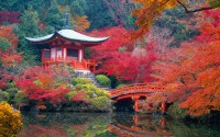/album/asia/a176536-jpg/
