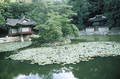 /album/asia/a189842-151863701541274-4076633-n-jpg/