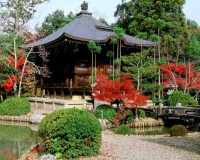 /album/asia/a216992-158130747581236-6470627-n-jpg/
