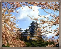 /album/asia/a713899-jpg/