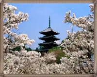/album/asia/a713901-jpg/