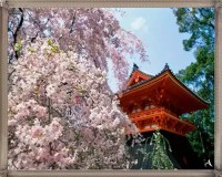 /album/asia/a713902-jpg/