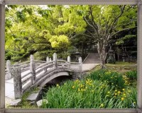 /album/asia/a713909-jpg/