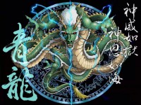 /album/asia/dragon-035-jpg/