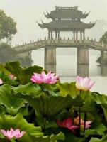 /album/asia/facebook-1414678637355-jpg/