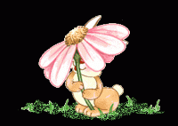 /album/husvet/a118948-gif/