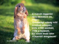 /album/husvet/husvet25-jpg/