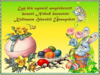 /album/husvet/husveti-kepeslap-10-jpg-51583bf5e1e9dbb90600dc5c-jpg/