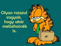 /album/vicces-kepek/a16832-jpg/