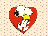 /album/meses-kepek/a19393-jpg/