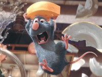 /album/meses-kepek/a30409-jpg/